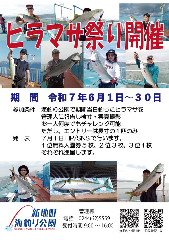 ヒラマサ祭り