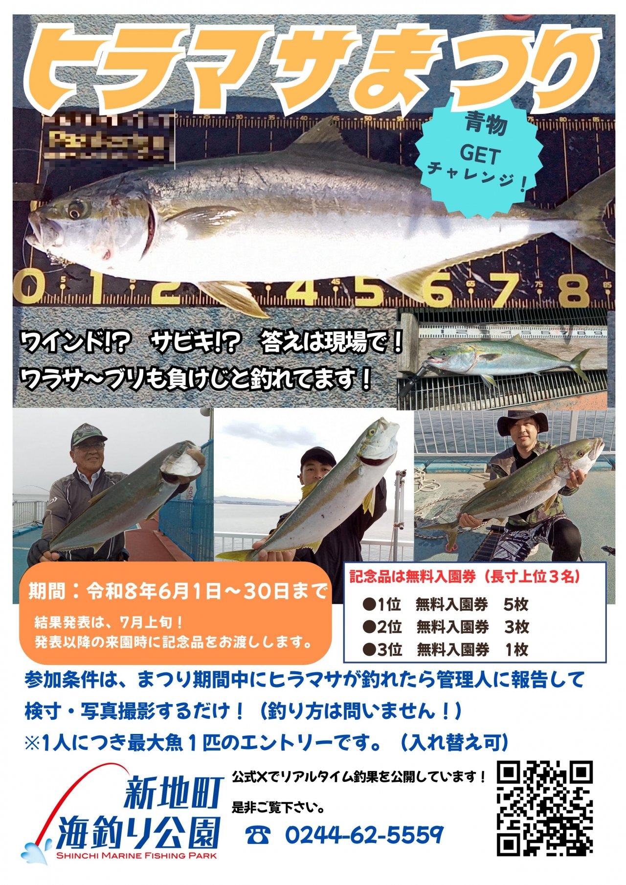 ヒラマサ祭り
