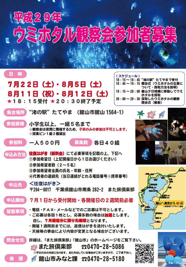 ウミホタル観察会