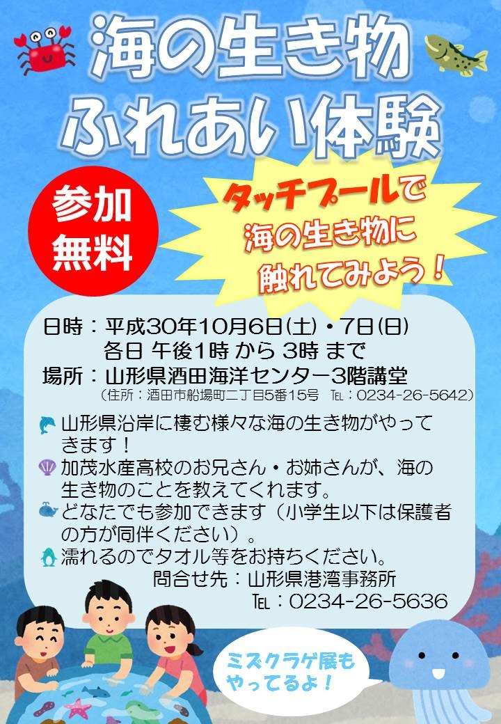 海の生き物ふれあい体験チラシ