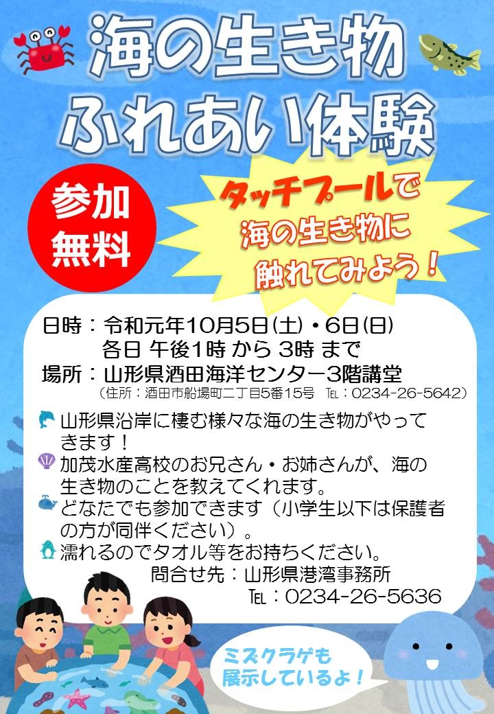 チラシ