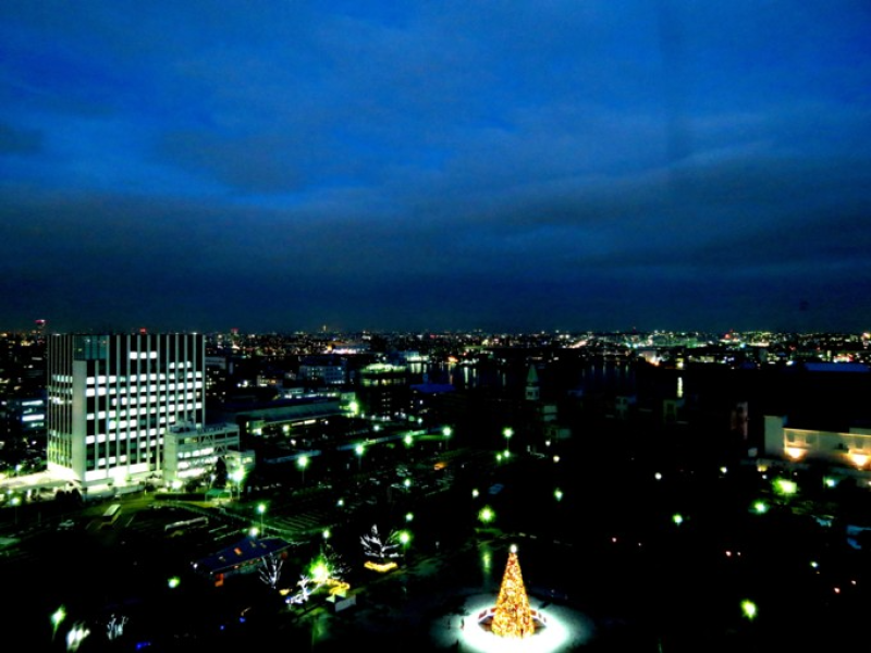 STAR★LIGHT REVUE 2011 (名古屋海洋博物館)